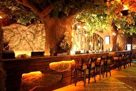 Rainforest Resto - Bar