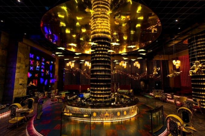 Dragonfly Experience