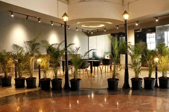 One World - The Coffee Studio